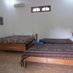 Rumi Bumi Lovina - Bild 5