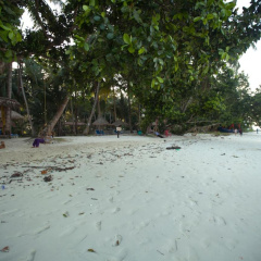Symphony Palms Beach Resort thumbnail 29