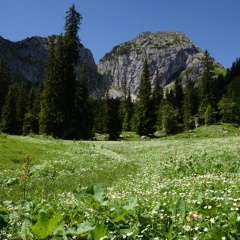 Landhaus Hohenschwangau - Bild 7