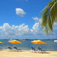 Le Flamboyant Hotel and Resort in Sandy Ground, St. Martin from 157$, photos, reviews - zenhotels.com photo 25