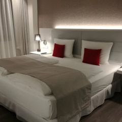 Hotel Riu Plaza Berlin thumbnail 5
