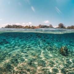 Gili Treehouses - Bild 14