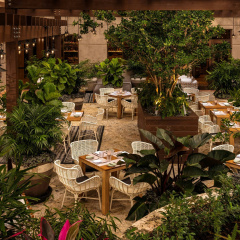 The Ritz-Carlton Coconut Grove, Miami thumbnail 26