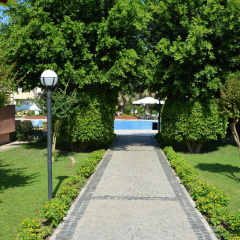 Turkiz Apartment - Bild 15