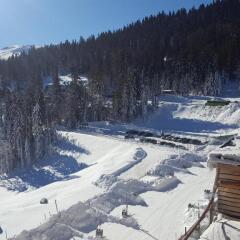 Jahorina Apartment 226 in Aparthotel Vucko in Jahorina, Bosnia and Herzegovina from 634$, photos, reviews - zenhotels.com photo 2