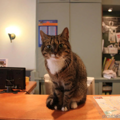 La Boheme - Bild 11