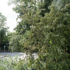 Ferienwohnungen Potsdamer Strasse - Bild 10