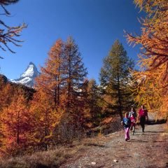 Sunstar Hotel Zermatt - Bild 24