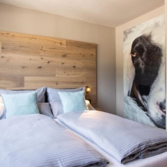 Apartment BergLoft 360 - Bild 6