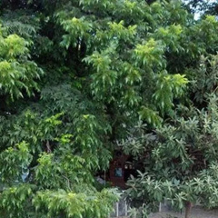 Tal - Bild 9