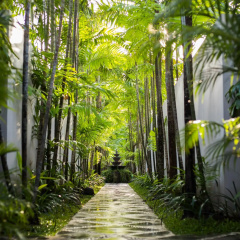 Bhavana Private Villas - Bild 8