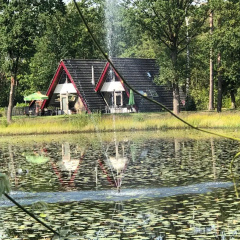 Holiday Home in Stramproy Near Nature Reserves thumbnail 7