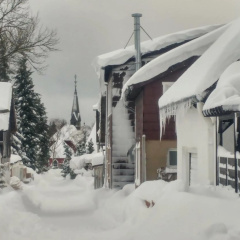 Pfötchenurlaub im Harz- Schöne Ferienwohnung für 2-4 Personen und Hund - Bild 9