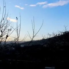 Tbilisi Smart Hostel thumbnail 4