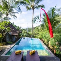 DD Ubud Jungle Villa - Bild 13