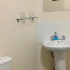 The Plough Inn thumbnail 9