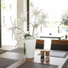 Großes Apartment im Zentrum von Dresden, 2 Schlafzimmer, 2 Bäder, Balkon - Bild 6