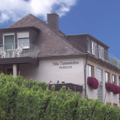Villa Tummelchen - Bild 1