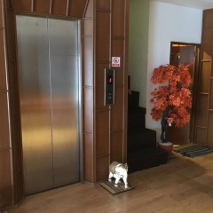 Lotus Hotel Patong - Bild 15