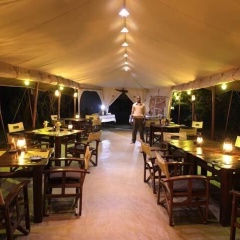 Mara Bush Camp thumbnail 25