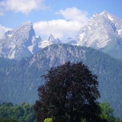 Alpenhotel Kronprinz Berchtesgaden - Bild 15