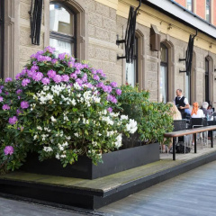 Hotel Central - Bild 26