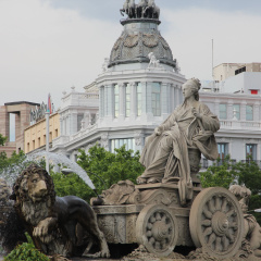 Crowne Plaza Madrid Airport by IHG - Bild 24
