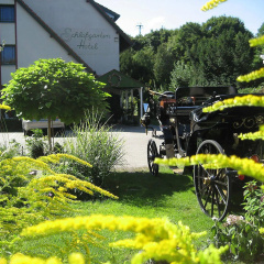 Schlossgarten Hotel am Park Sanssouci - Bild 10