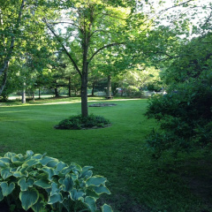 outside