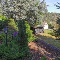 Geraumige Wohnung in Altenau mit Terrasse - Bild 6