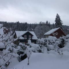Haus "Brockenhexe" - Bild 7