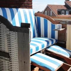Seelöwe App. 9 - Bild 9