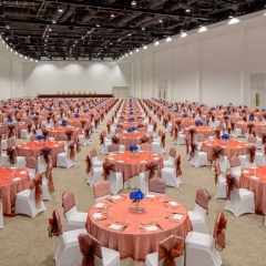 Grand Hyatt Dubai - Bild 7