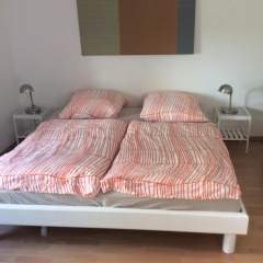 Altstadt Bonn mit eigenem Parkplatz und Garten - Bild 7