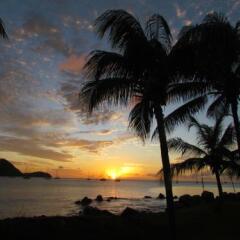 Bay Guesthouse in Marisule, St. Lucia from 303$, photos, reviews - zenhotels.com photo 19