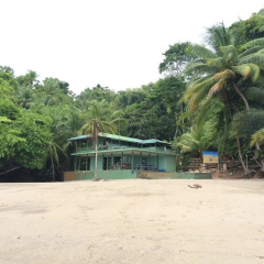 Hakuna Matata Drake Bay Hostel thumbnail 9