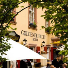 Goldener Hecht - Bild 15