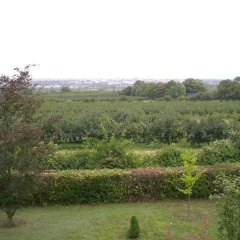 Weitblick Über Mainz - Bild 8