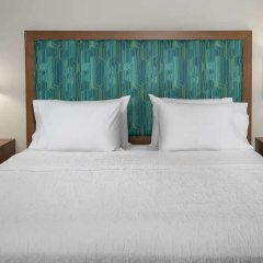 Hampton Inn & Suites Orangeburg thumbnail 45