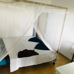 Surf Paradise & Cabana thumbnail 46