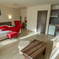 Ideal Stayinn Banderitsa Studio for Your ski Holiday, 2 Guests in Bansko, Bulgaria from 213$, photos, reviews - zenhotels.com photo 12