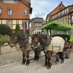 Regiohotel Quedlinburger Hof - Bild 13