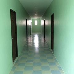 Am House - Bild 11