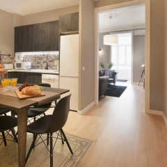 Aribau Apartment thumbnail 4