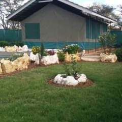 Olooltepes Picnic Site in Kiserian, Kenya from 620$, photos, reviews - zenhotels.com photo 12