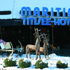 Maritim TitiseeHotel Titisee - Neustadt - Bild 1