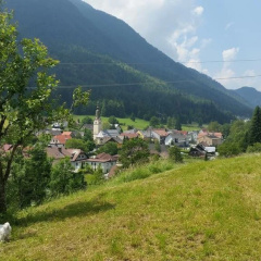 Bauernhof Hausmann thumbnail 10