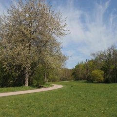 Weimar Ferienwohnung am Goethepark - Bild 3