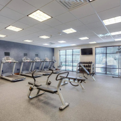 Hampton Inn & Suites Dallas/Plano-East thumbnail 13