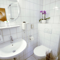Mosel Hotel Hahn - Bild 10